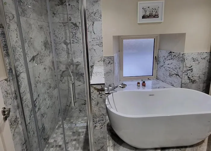 Blackriver House Shruthair